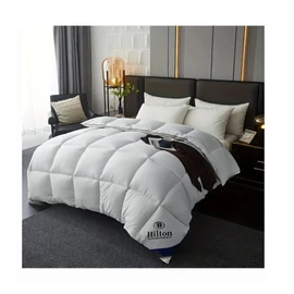 Luxus Hilton stílusú paplan – 200×220 cm RW1241169-200