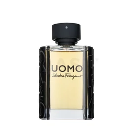 Salvatore Ferragamo Uomo Eau de Toilette férfiaknak 100 ml 105895