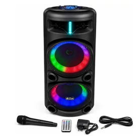 Avcrowns 2×8" hordozható party hangszóró RGB világítással, mikrofonnal AO-8809