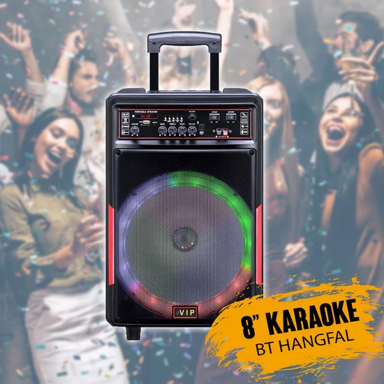 Karaoke hangfal mikrofonnal, távirányítóval JT838