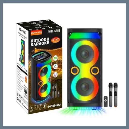 Hordozható bluetooth hangszóró 2 mikrofonnal WGY-S803