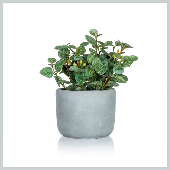 HOME DECOR Műnövény beton kaspóban – EUCALYPTUS, 19 x 18 cm 63935051