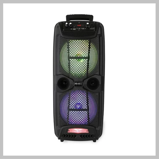 Karaoke hangfal dupla hangszóróval CH8801