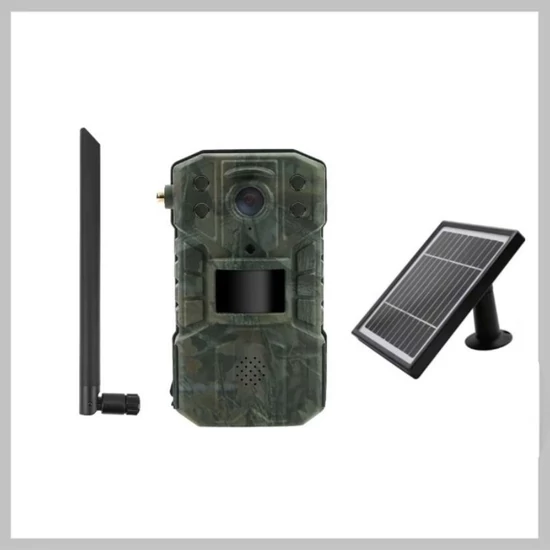Professzionális Vadkamera 4G H2-LiveStream Mobil Alkalmazással, napelemmel H24Gsolar