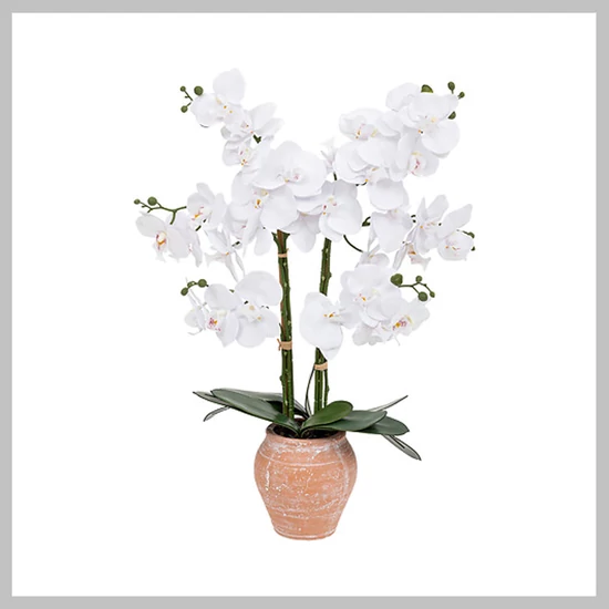 Műorchidea kaspóval, fehér, 198222