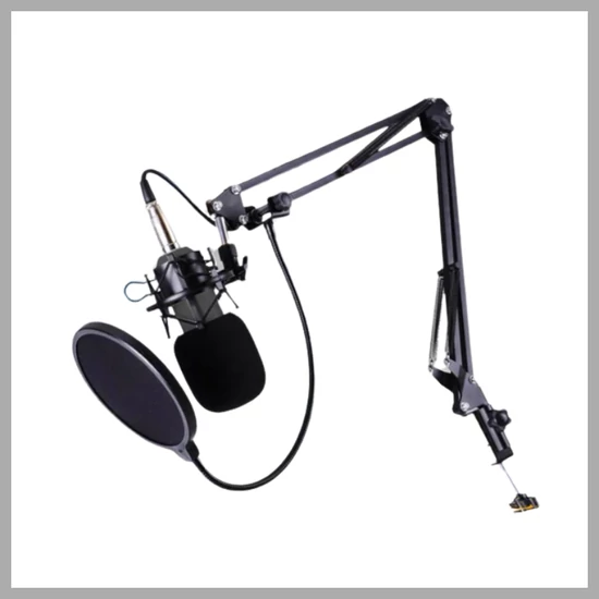 Legendary stúdió mikrofon