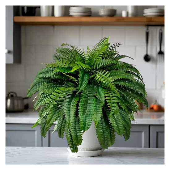 Műpáfrány dekoráció 60 cm XG1187657