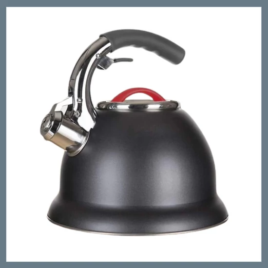 BANQUET ADVANTAGE kanna 2.7L 48768004