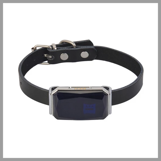 Kisállat GPS nyomkövető holm1070