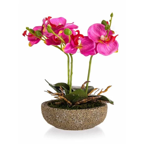 Dekoratív műorchidea kaspóban – rózsaszín 63935018