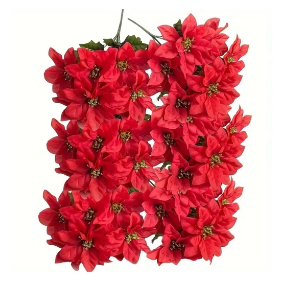 Karácsonyi mikulásvirág csokor – 6 szál, piros – HR281813