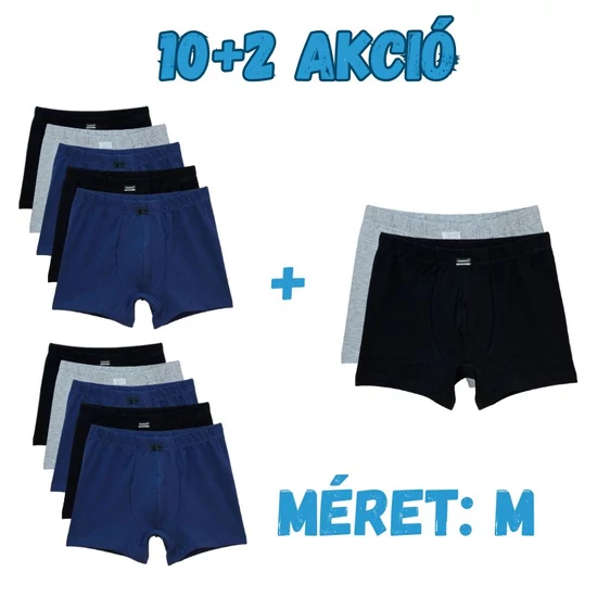 10+2 Férfi boxer M  z005-6