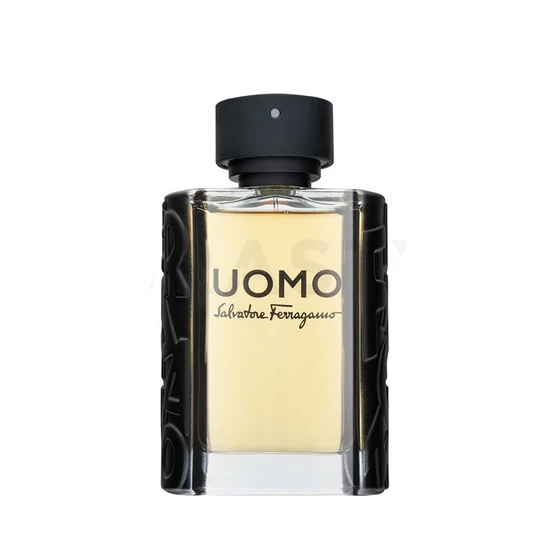 Salvatore Ferragamo Uomo Eau de Toilette férfiaknak 100 ml 105895