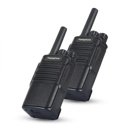 Walkie-talkie WT-318