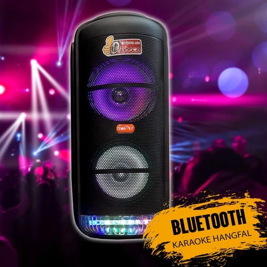 Karaoke hangfal dupla hangszóróval DG1023