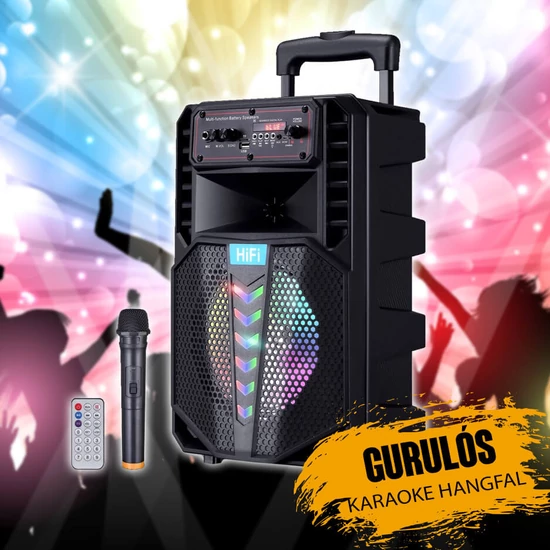 Karaoke hangfal mikrofonnal NDF12